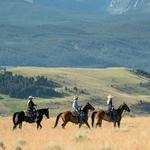 Horseback Rides