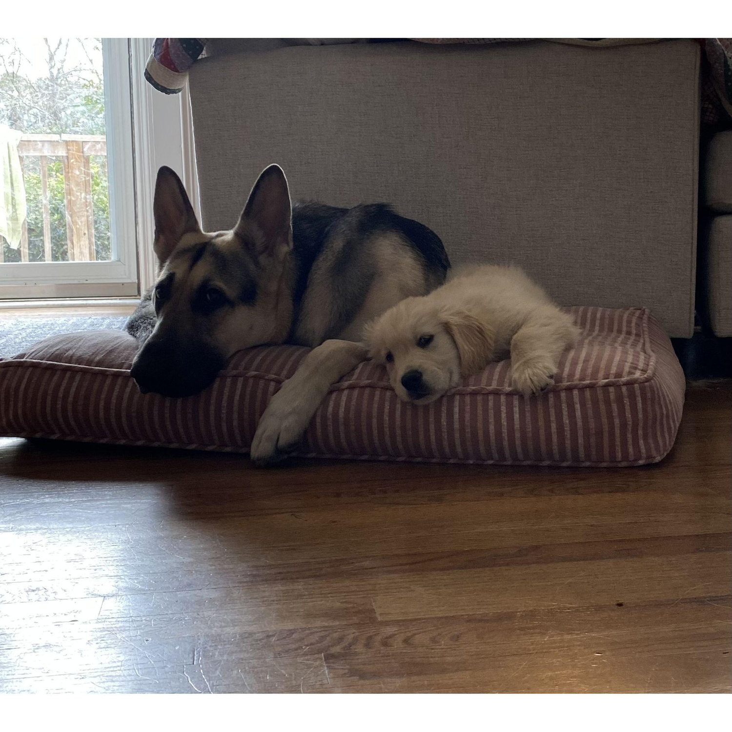 Resting up to cause more trouble.