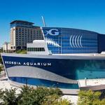 Georgia Aquarium