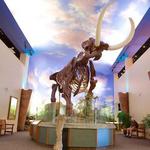 The Bishop Museum of Science and Nature