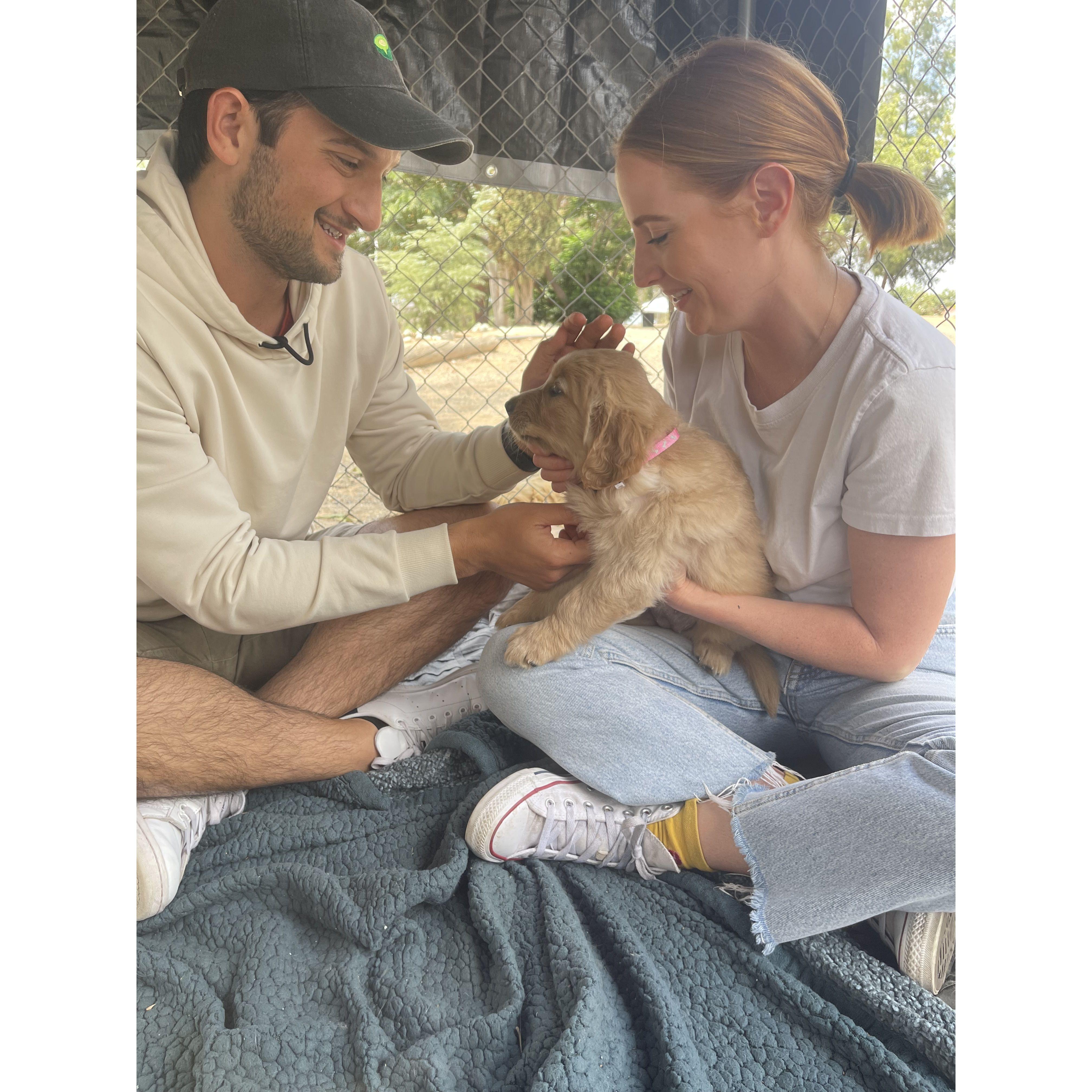 Our first time meeting our puppy Winnie | May 2022