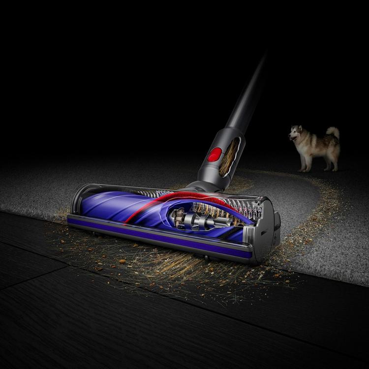 Dyson, V8 Animal Cordless Stick Vacuum | Zola