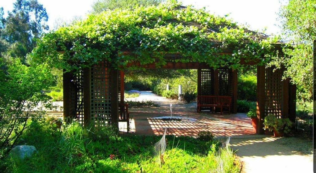 The Wedding Website of Amanda Schwab and Michael Trujillo