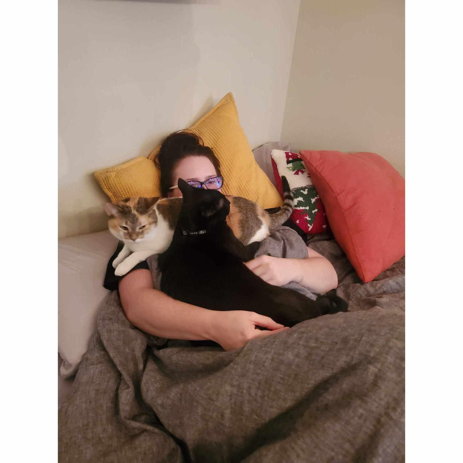 Cats forever smothering me