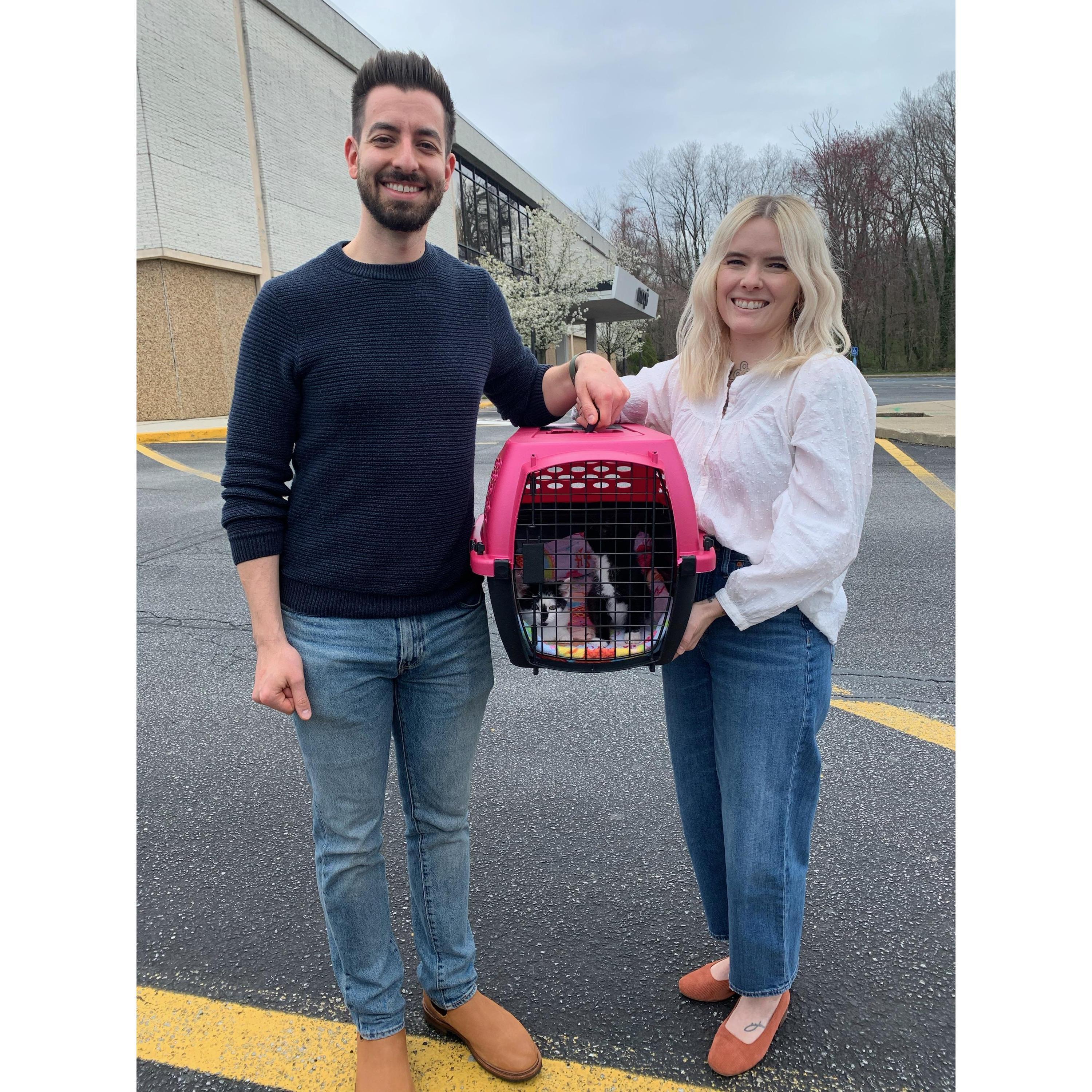 Day we picked up our babies Sadie & Dottie! 4/5/2020