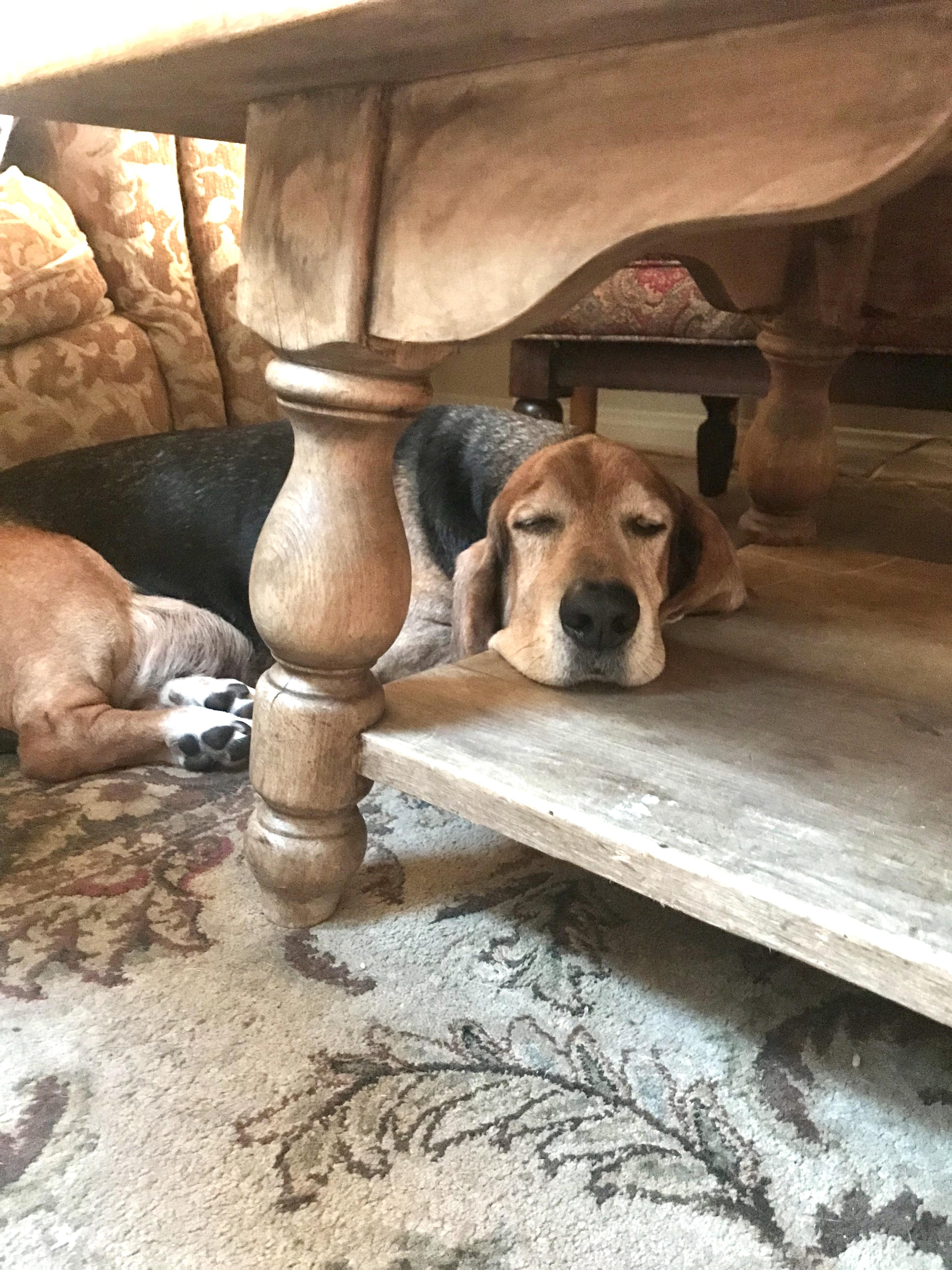 The Wedding Website of Carol Yip and Jordan Vena