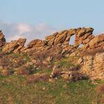 Devil's Backbone Open Space