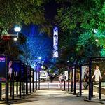 Avenida Chapultepec