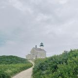 North Light