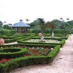 Bermuda Botanical Gardens