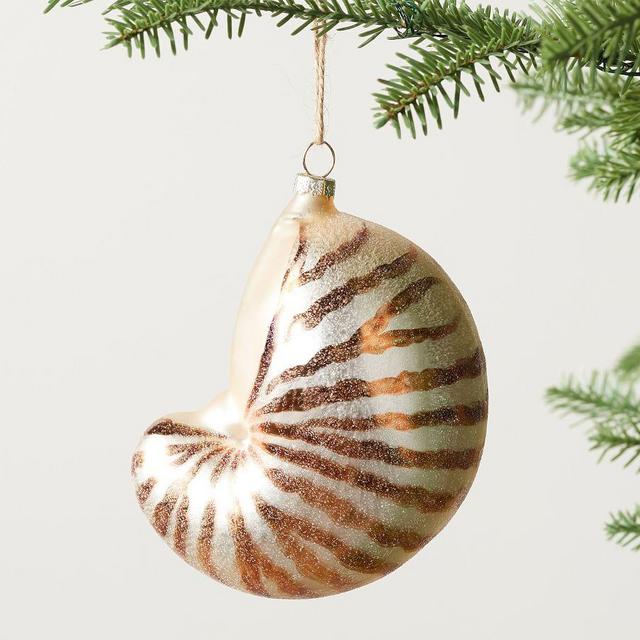 Mercury Glass Conch Shell Ornament, Multi, One Size