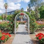 State Capitol Park World Peace Rose Garden