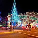 Rotary Lights at Riverside Park