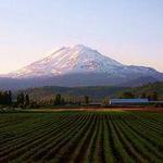 Yakima Valley Craft Beverage Tour!