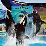 SeaWorld San Diego