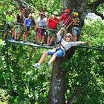 Congo Canopy Activities