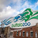 The Buffalo Zoo