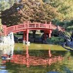 The Japanese Friendship Garden of Phoenix