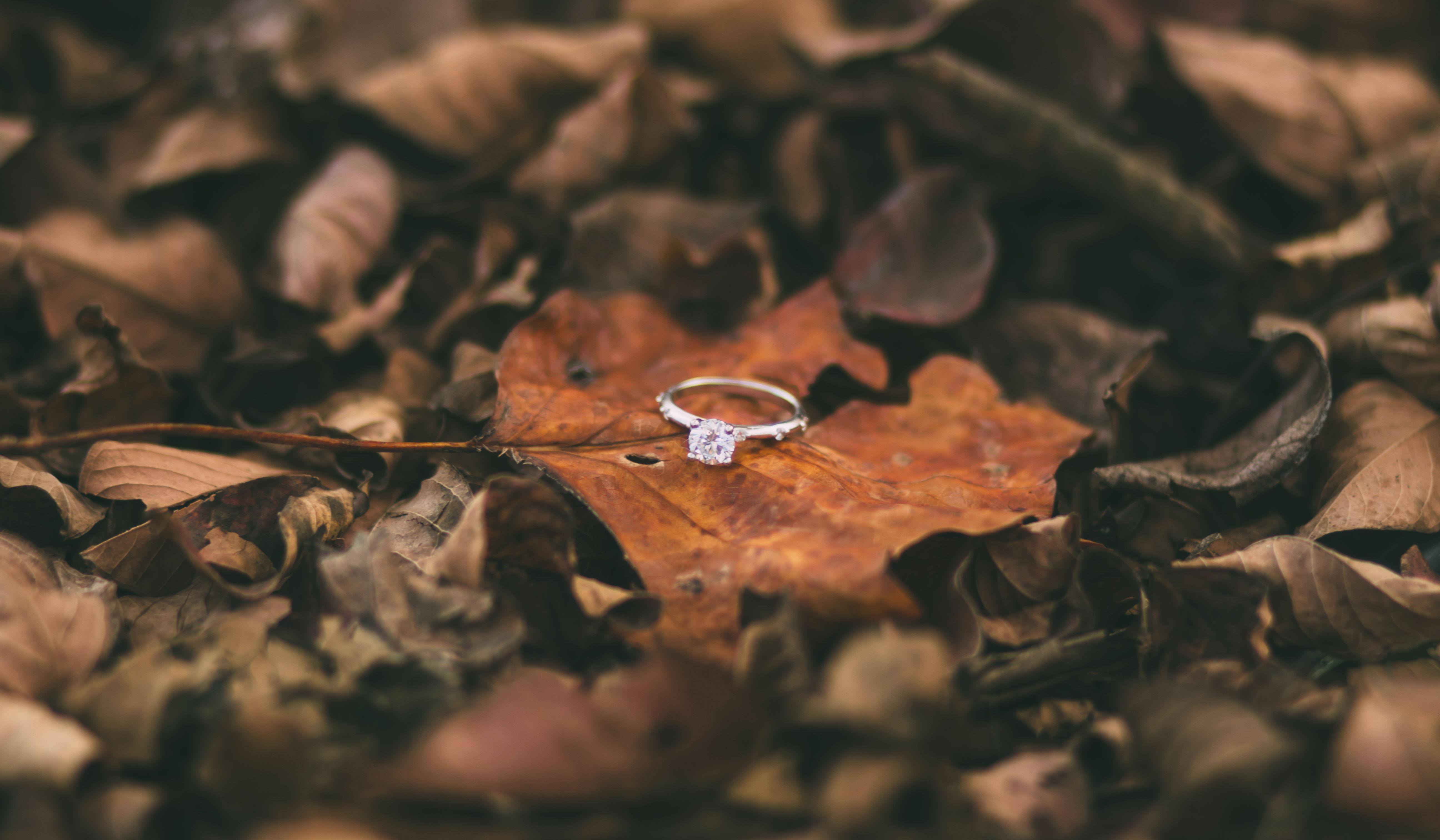 Footer image