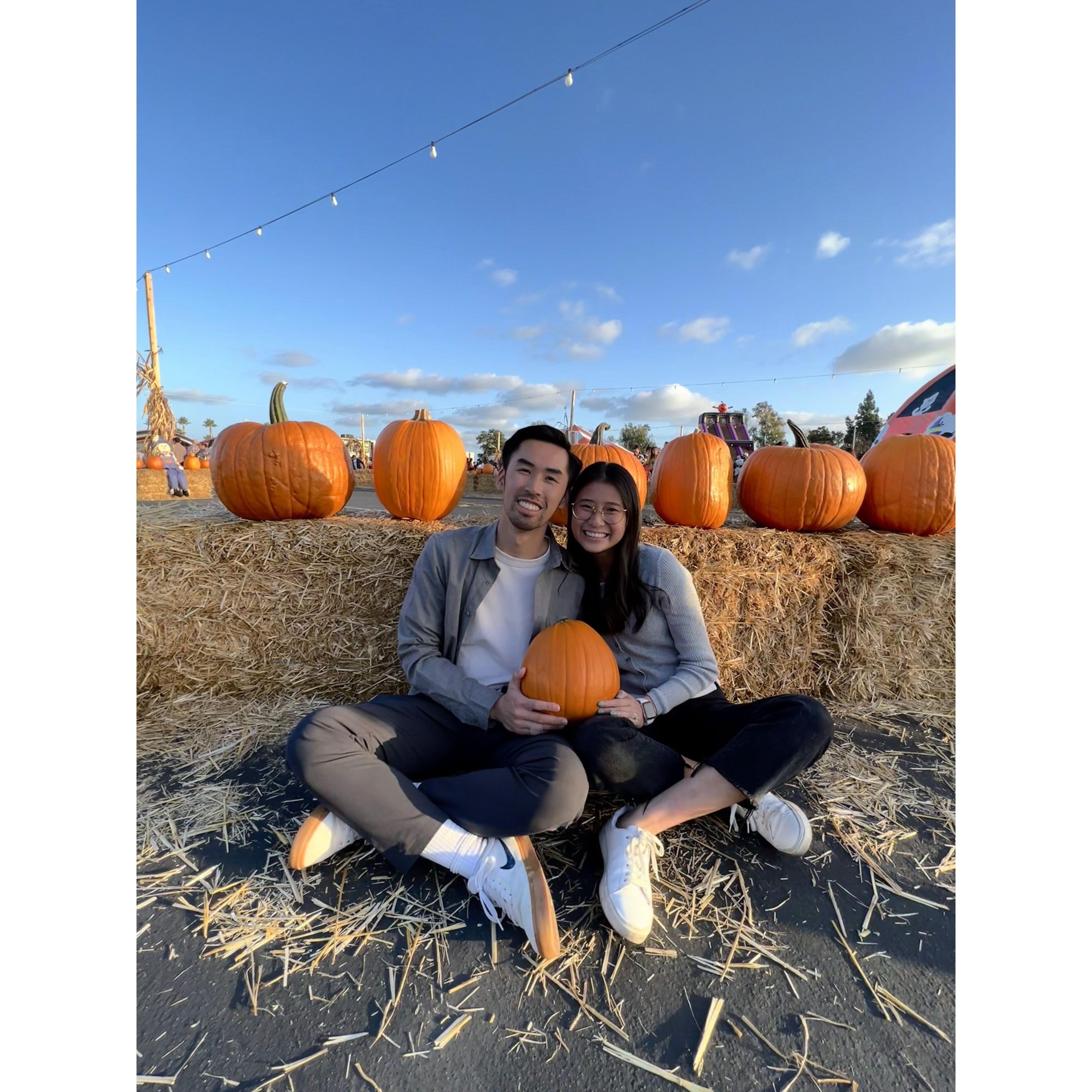 pumpkin patch 🎃