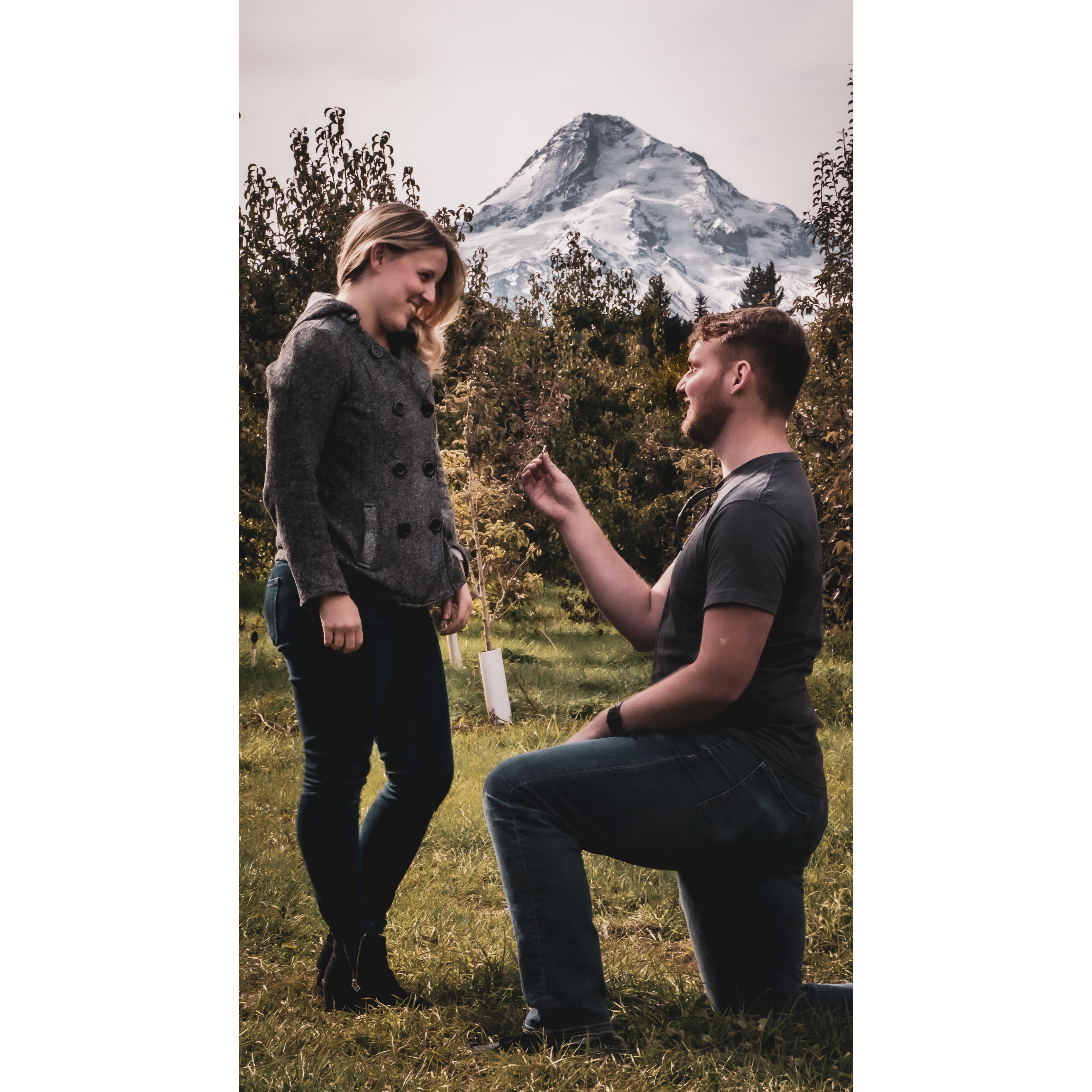 He asked and she said yes.