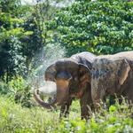 Wednesday 6th March 13:00-17:00