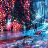 teamLab Borderless: Digital Art Museum