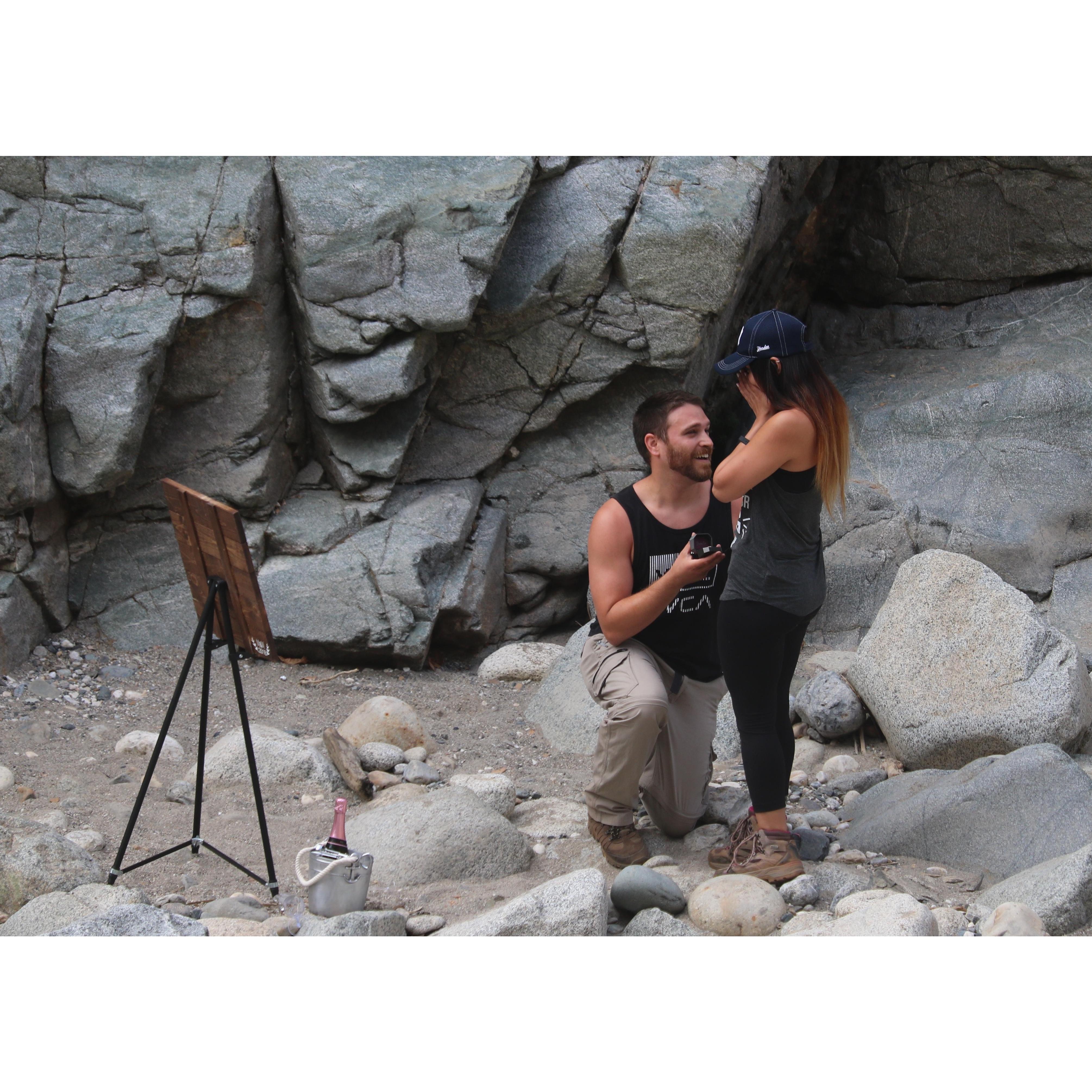 The proposal!