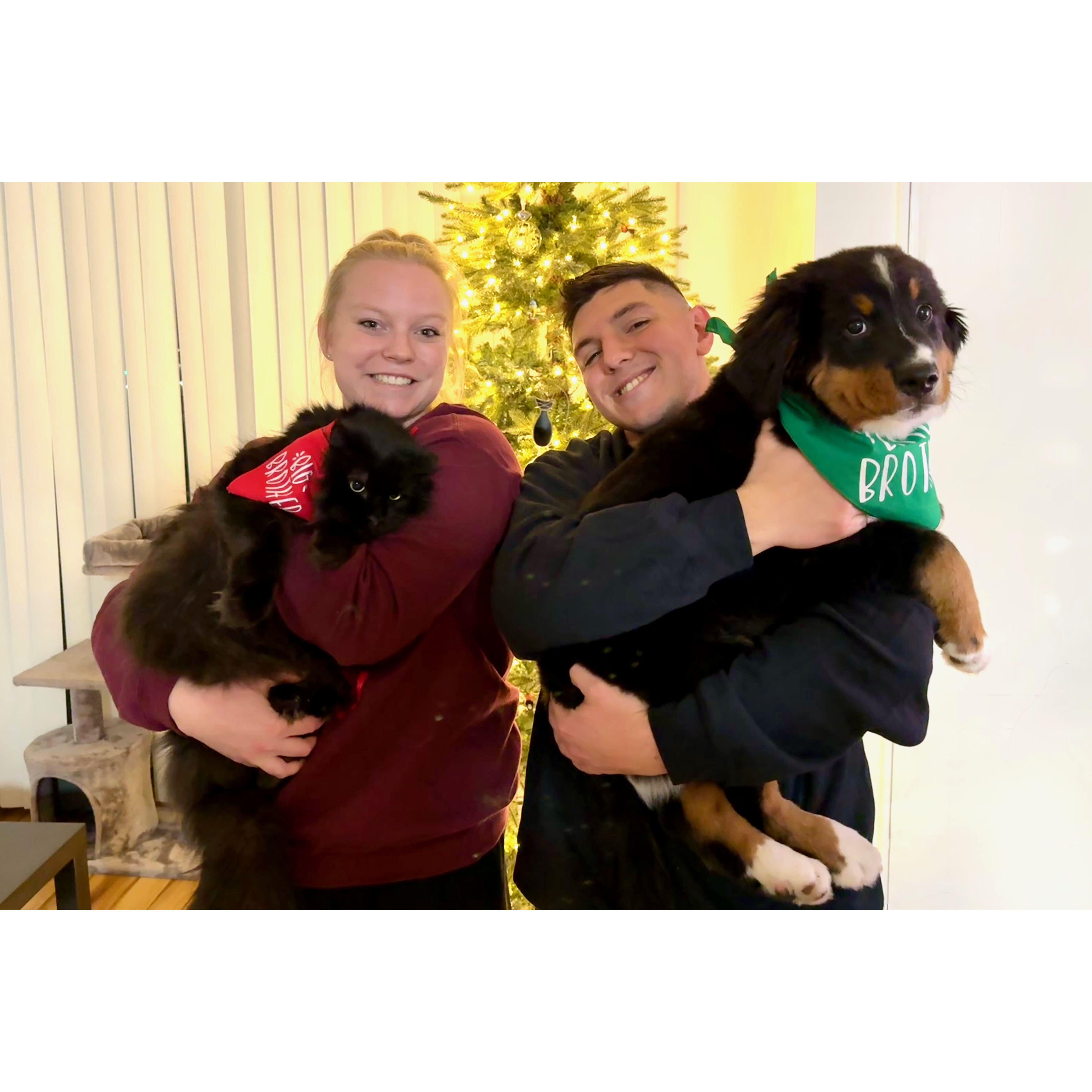 Our first Christmas card as a family of four - 2024