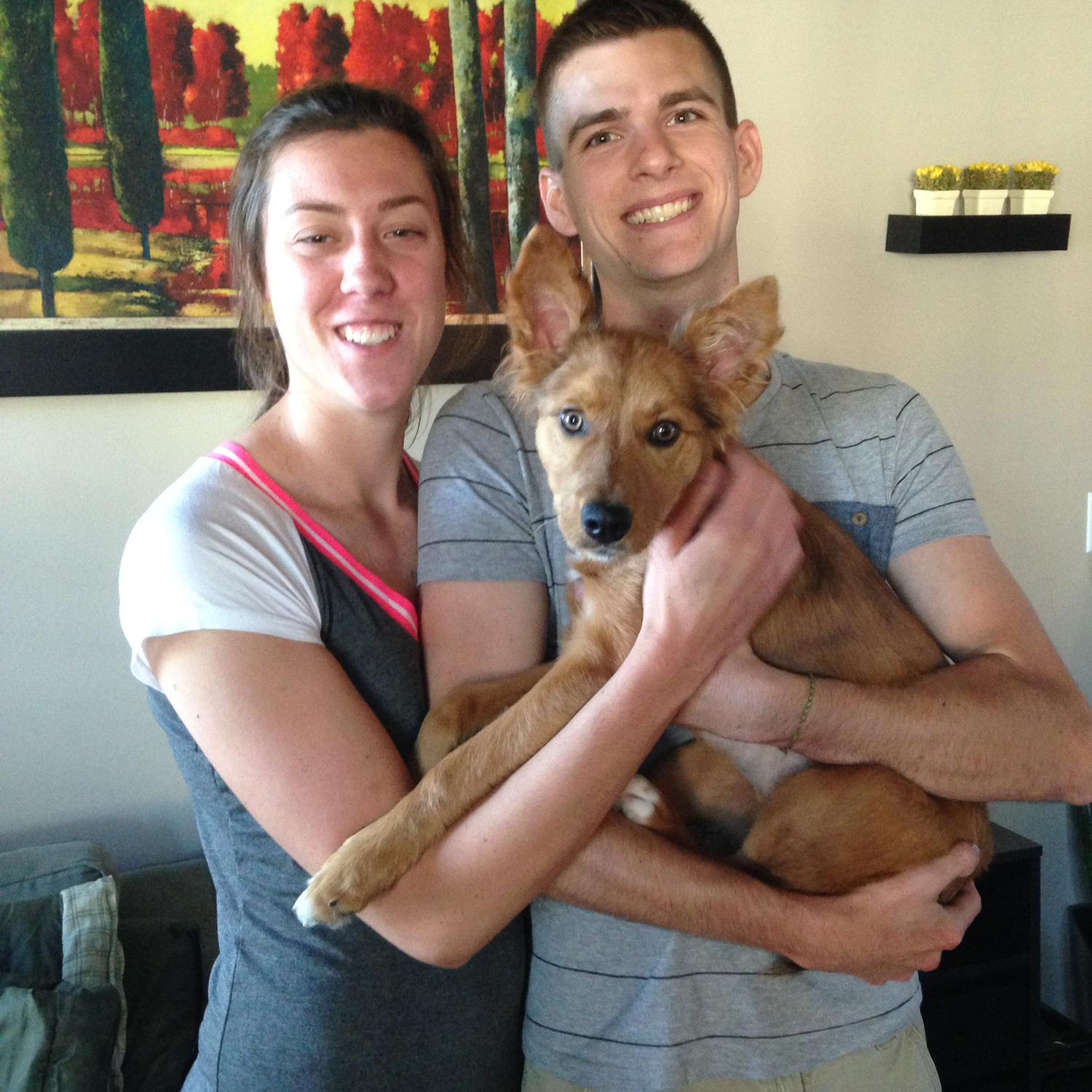 April 28th 2015. The day we adopted Roxy.