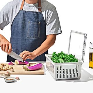 Good Grips Large Produce Saver Bin