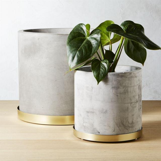 Medium moda cement planters