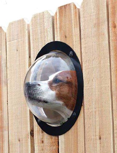 PetPeek Fence Window for Pets