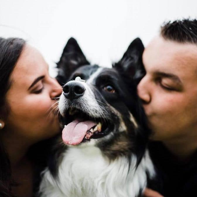 January 3, 2020
We got engaged!!!!!! Our happy little family!