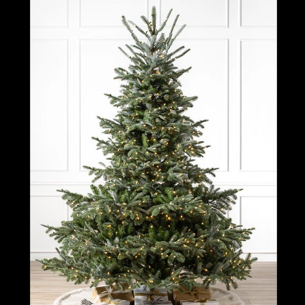 Jesse's Dream Christmas Tree