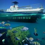 De Palm Submarine and other tours