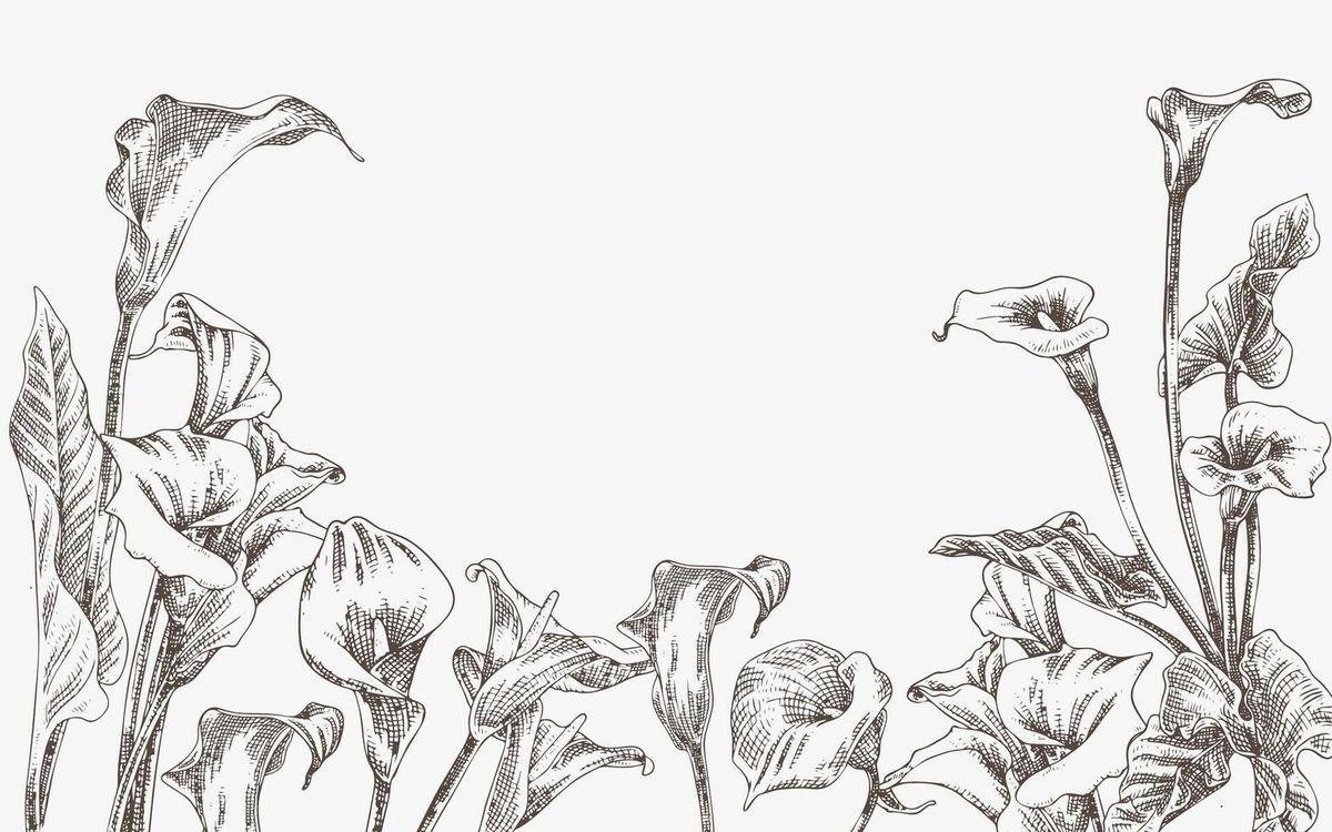 The Wedding Website of Christian Kalos and Megan McIntyre