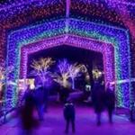 The Morton Arboretum -- Holiday Light Show