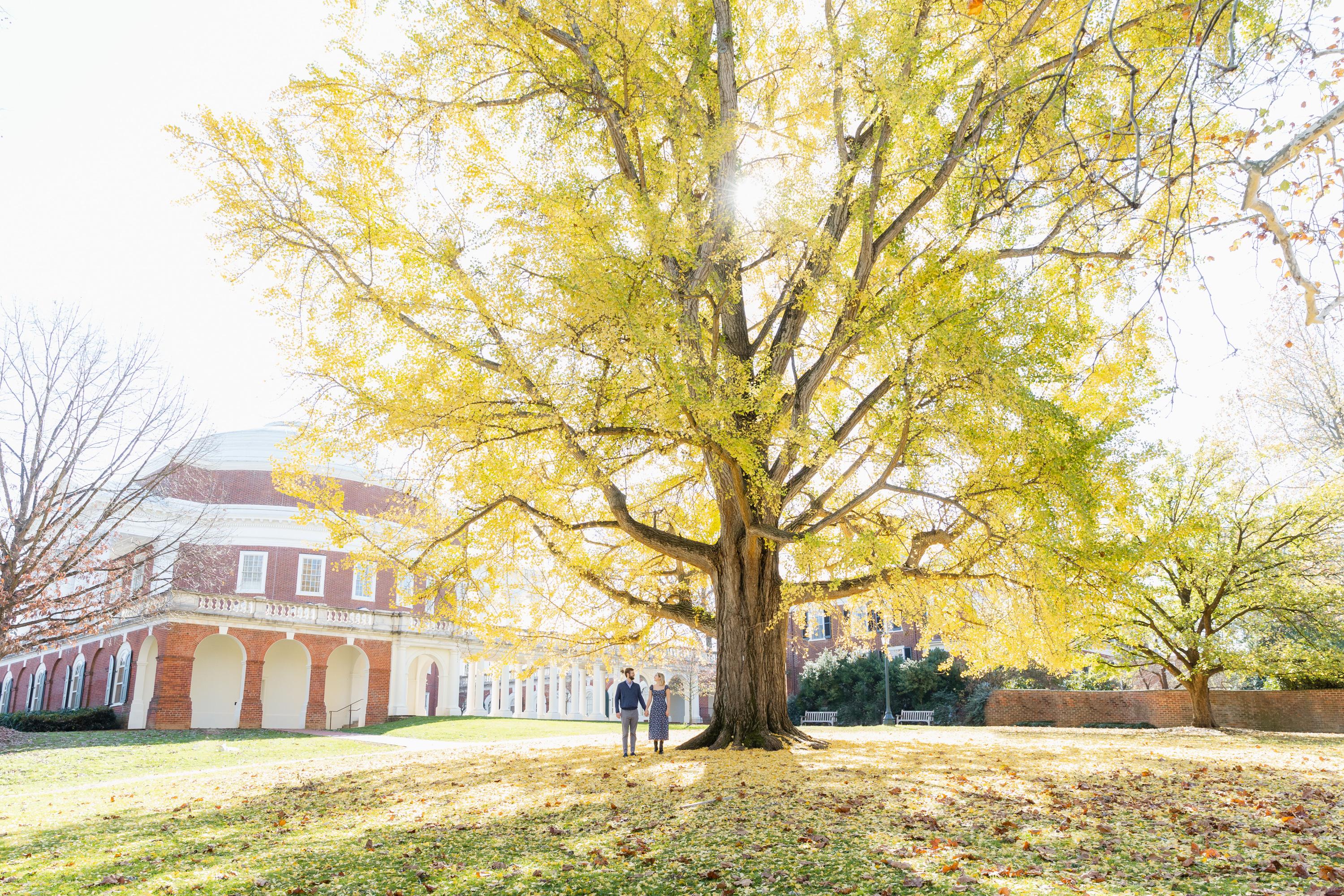 The Wedding Website of Caroline Meyer and Dillon Crawford