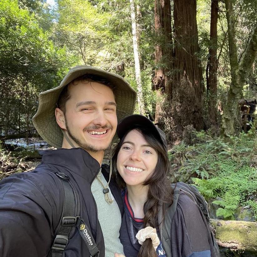 The redwoods in Muir Woods