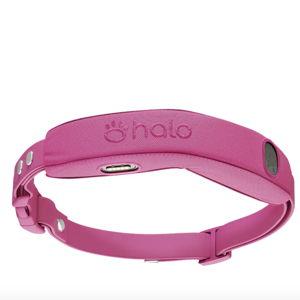 Shop GPS Dog Fences | Halo Collar