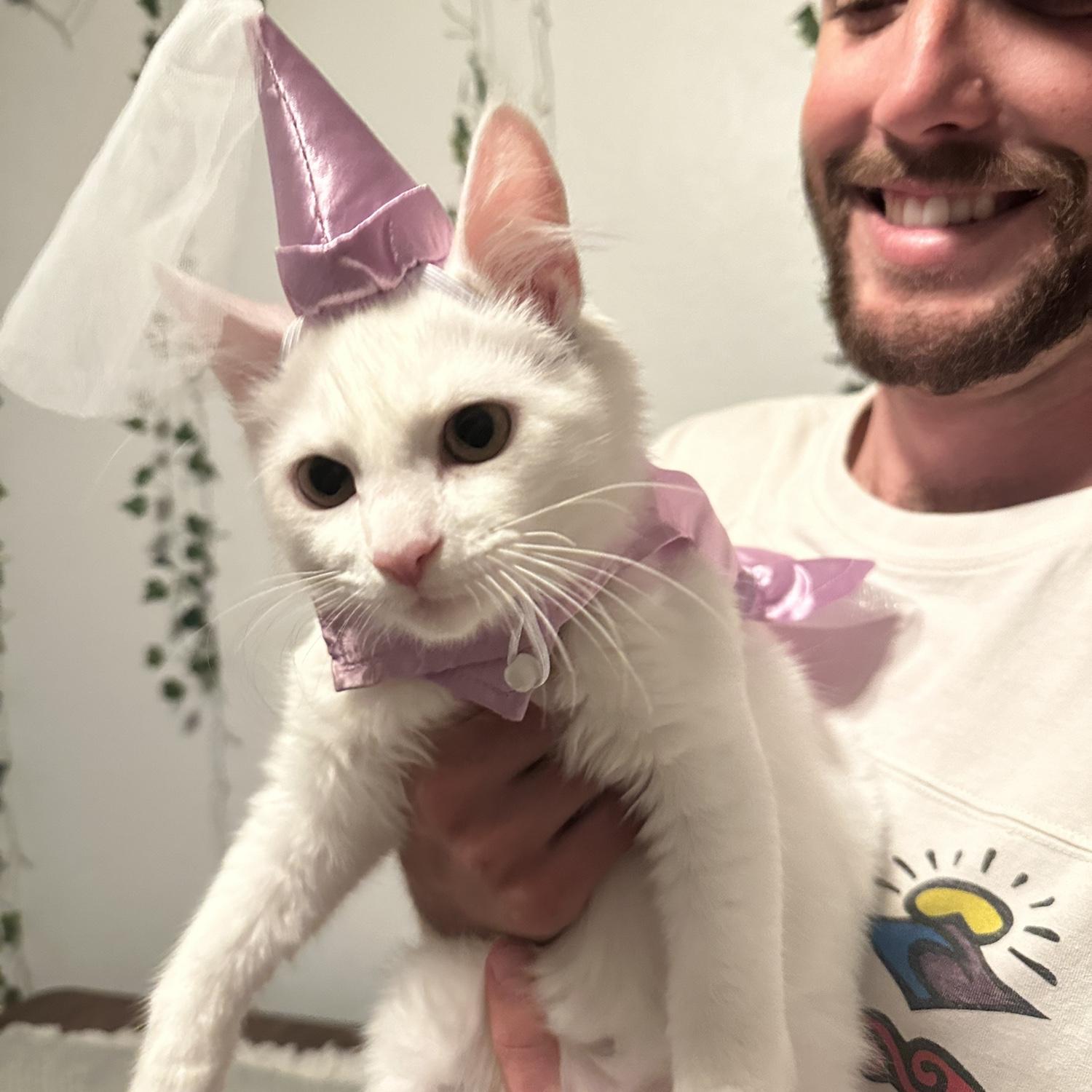 Our 2nd born Louah on Halloween looking like a princess!