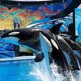 SeaWorld San Diego