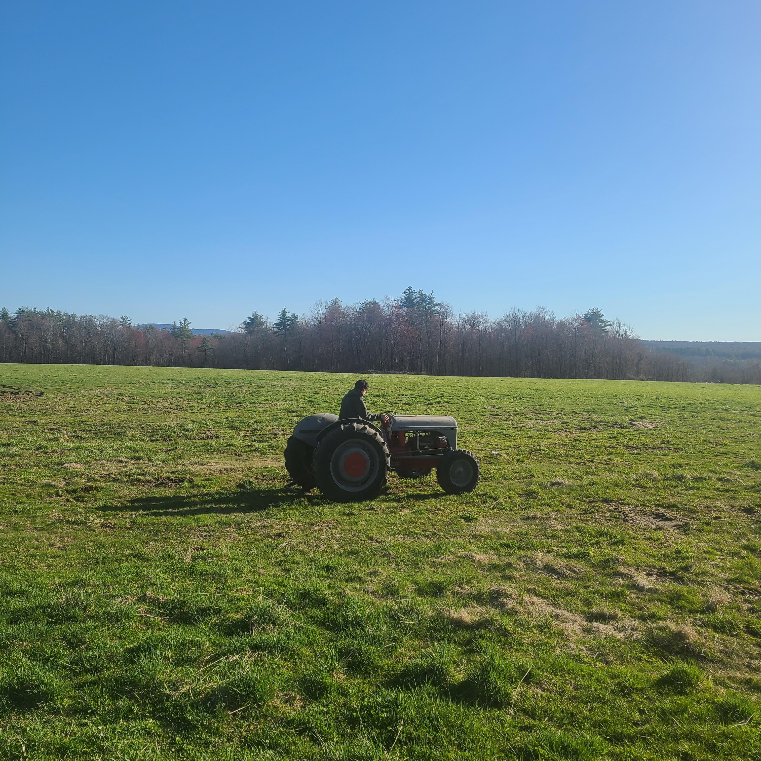Jake driving the 9N tractor
