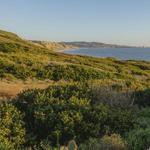 Torrey Pines State Beach