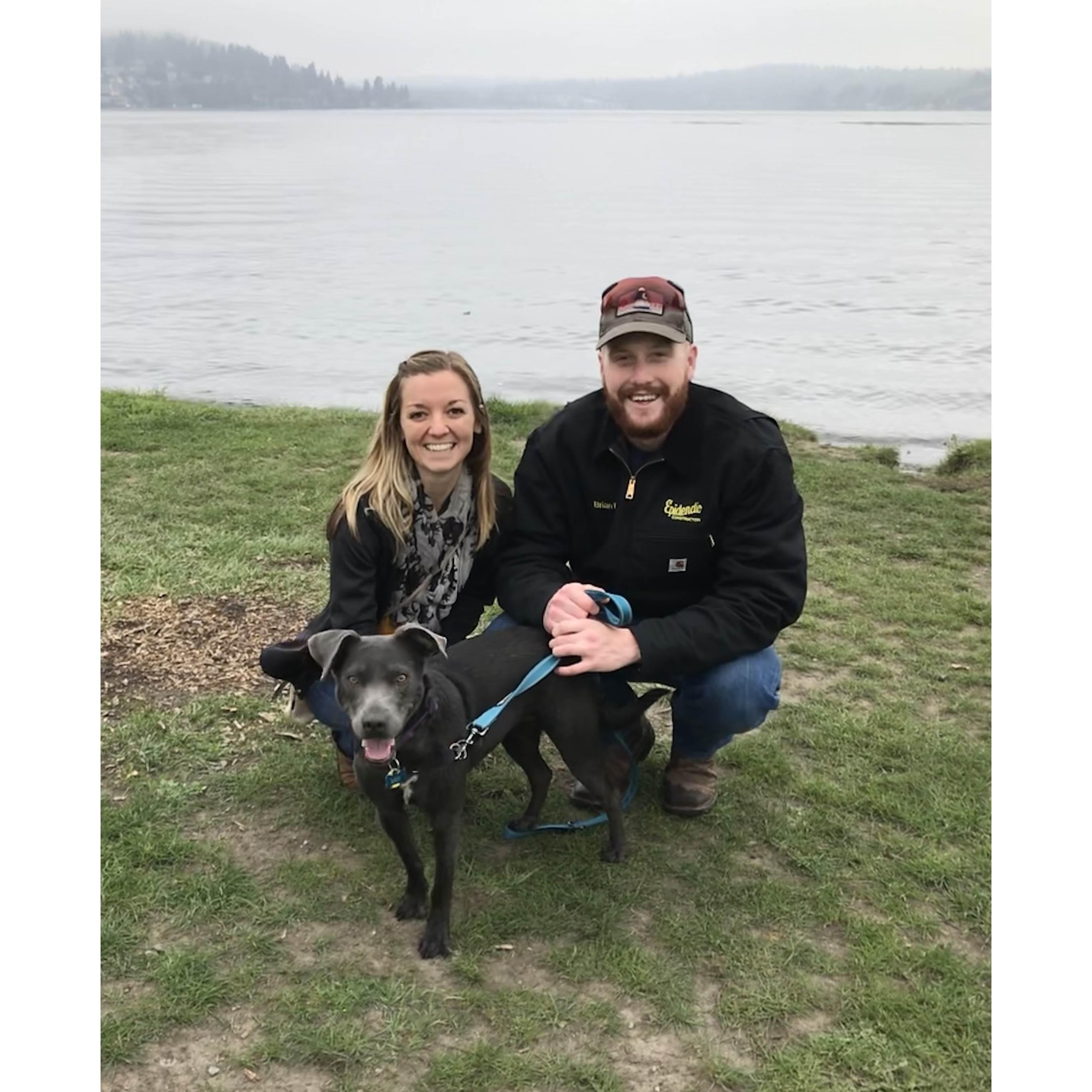 We became (dog) parents! 2018