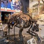 Boonshoft Museum of Discovery