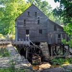 Yates Mill County Park