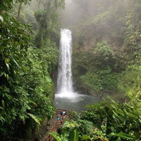 Honeymoon Fund - Rainforest Adventures