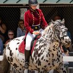 Kentucky Horse Park